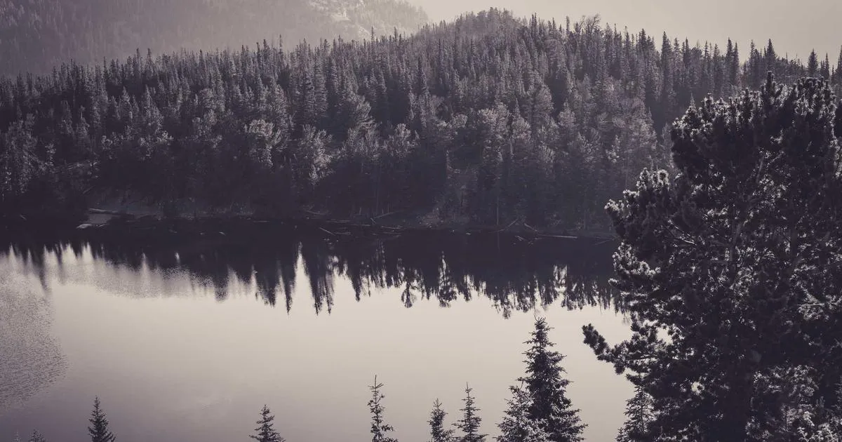 comment Reparer un Miroir Casse en Quelques Etapes Simples